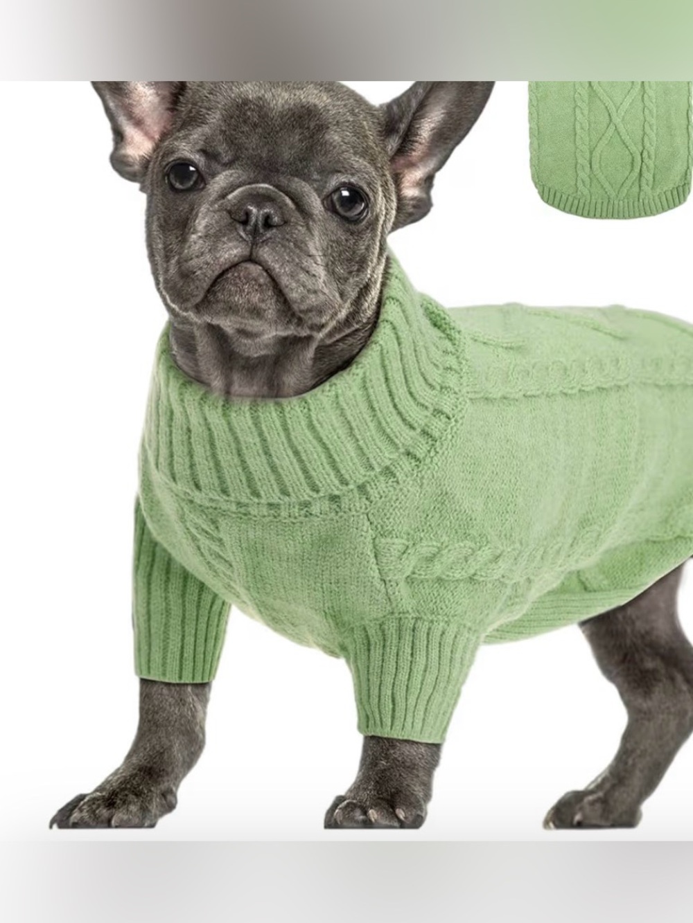 NWT Cable-Knit Dog Sweater in Lime Green- XS
